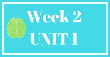 Week 2 (Unit 1) – Lesson & Worksheets