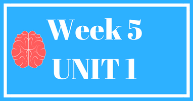 Week 5 (Unit 1) – Lessons & Worksheets