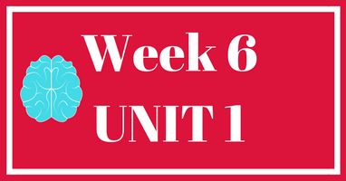 Week 6 (Unit 1) – Lesson & Worksheets