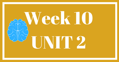 Week 10 (Unit 2) – Lessons & Worksheets