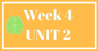 Week 4 (Unit 2) – Lessons & Worksheets