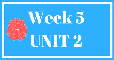 Week 5 (Unit 2) – Lessons & Worksheets