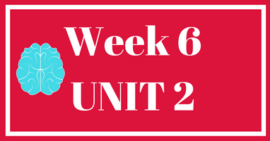 Week 6 (Unit 2) – Lessons & Worksheets