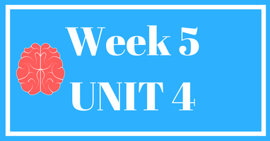 Week 5 (Unit 4) – Lessons & Worksheets